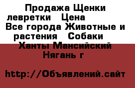 Продажа Щенки левретки › Цена ­ 40 000 - Все города Животные и растения » Собаки   . Ханты-Мансийский,Нягань г.